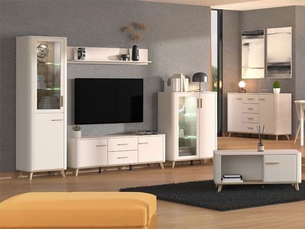 Amos Mann Furniture Darigon low cabinet showing the 1 glass door and 1 closed door